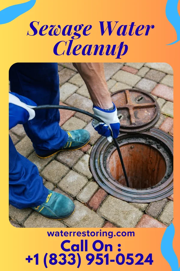 Sewage Water Cleanup in Weir, KS